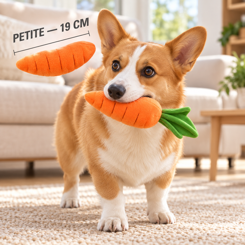 Petite carotte en peluche pour chien, longueur 19 cm