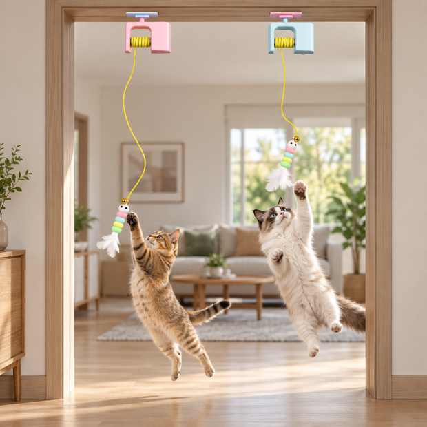 Deux chats jouant avec les jouets Danse des Plumes rose et bleu