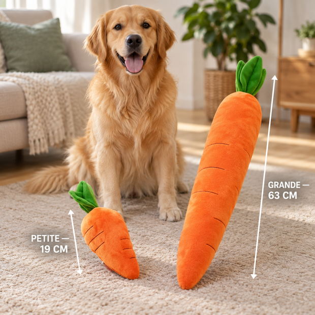 Offre duo de carottes en peluche pour chien, petite 19 cm et grande 63 cm