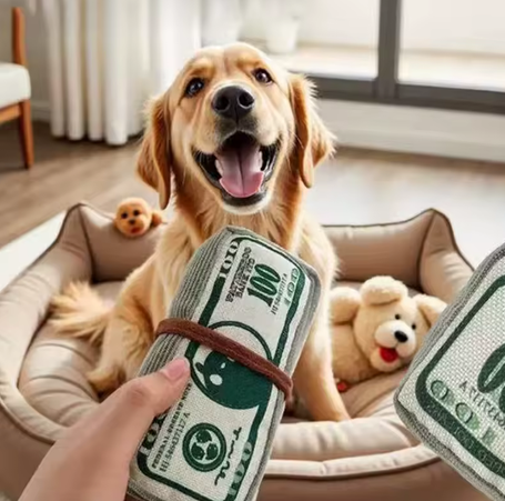 Jouet Billet Millionnaire pour chien