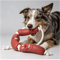 Jouet Saucisse pour chien