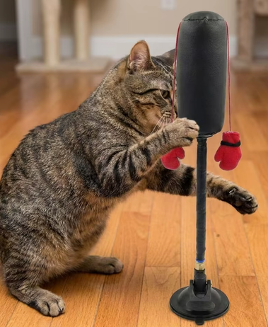 Punching-ball pour chat