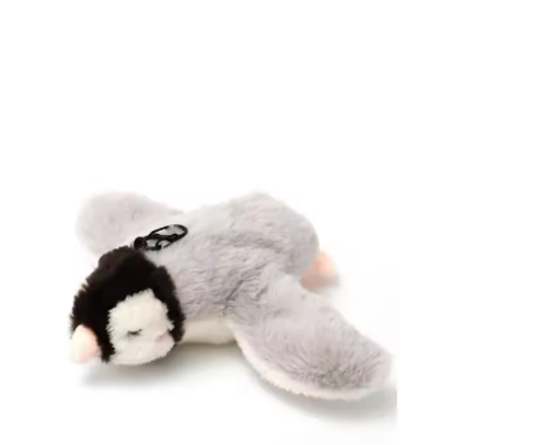 Souris sonore pour chat